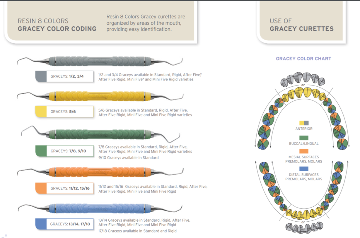 Gracey Scaler Chart