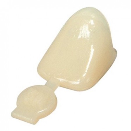 3M Polycarbonate Replacement Crown for Anteriors and Bicuspid Refill, 5/Pack