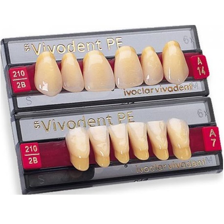 Ivoclar SR Vivodent PE Shade210/2B For Anterior teeth  (set of 6)
