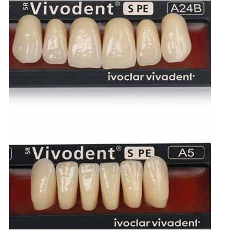Ivoclar SR Vivodent PE Shade 140/1C For Anterior teeth  (set of 6)