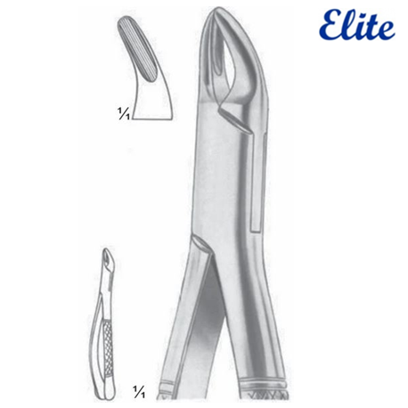 Elite Extracting Forceps Cryer Upper Teeth, Universal, 15.5cm, Per Unit #ED-050-116