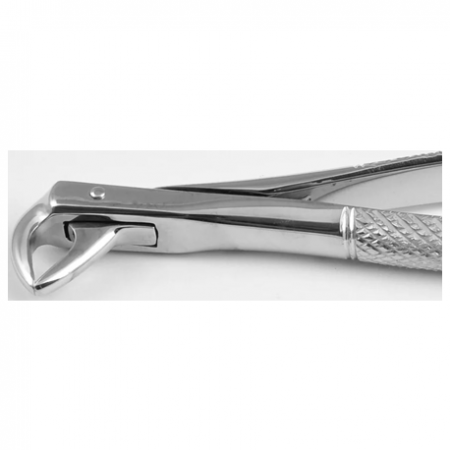Elite Extracting Forceps Lower Incisor and Root, Per Unit #ED-050-041