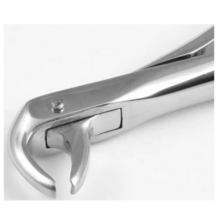 Elite Extracting Forceps Lower Premolar and Canine, Per Unit #ED-050-043