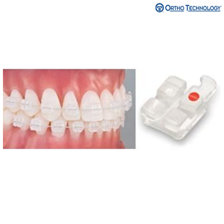 Buy Ortho Technology Pure Brackets 022 Roth 10 Brackets Pack Online At Best Price Lumiere32 Sg