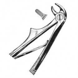 Elite Tooth Extracting Forceps for Children with Spring Lower Incisor, Per Unit #ED-050-086