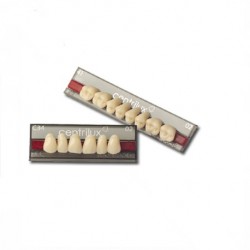 Acrylic Artificial Teeth, Anterior (Set of 6 Teeth) 