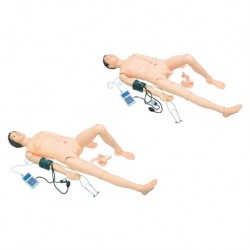 Nursing Education Model, Advanced Nurse Training Doll with Blood Pressure Training Arm, Per Unit