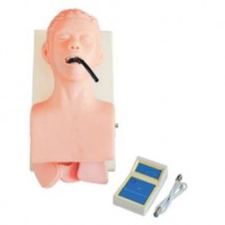 Nursing Education Human Trachea Intubation Model, Per Unit