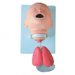 Nursing Education Infant Intubation Training Model, Per Unit