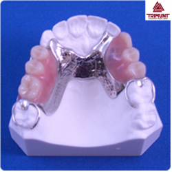 Pateint Education Model For Dentures