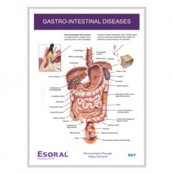Medical Chart Design, Gastro-Intestinal Diseases Poster (50x70cm) Laminated
