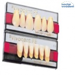 Ivoclar SR Vivodent PE Shade220/1D For Anterior teeth  (set of 6)