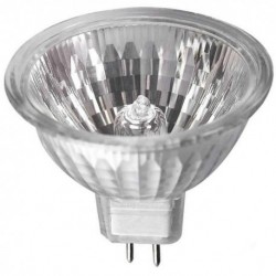 Halogen Bulb 12V