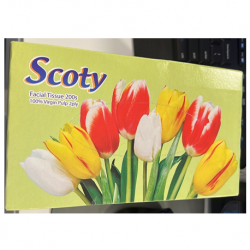 Scoty Tissue Paper Box, 2 ply (200Sheets/box, 50boxes/carton)
