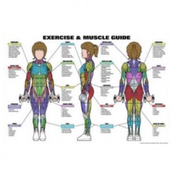 Medical Chart Design, Exercise and Muscle Guide Poster (50x70cm) Laminated