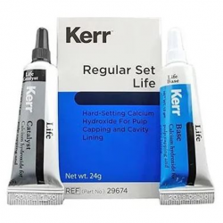 Kerr Life STD Pack Regular Set, Base-Catalyst, 24gm, Per Pack