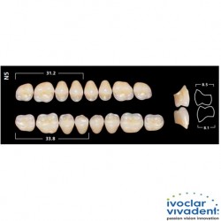 Ivoclar SR Orthotyp PE N5 Mould Posterior teeth For normal Bite(set of 8)
