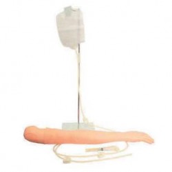 Nursing Education Multi-Functional IV Training Arm Model, Per Unit