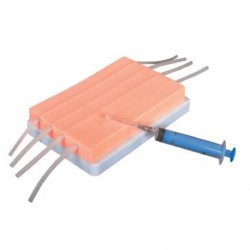 Nursing Education IV Injection Pad Model, Per Unit