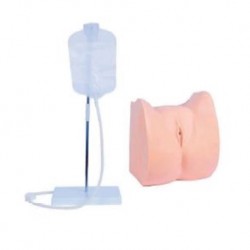 Nursing Education Simple Female Urethral Catheterization Simulator Model, Per Unit