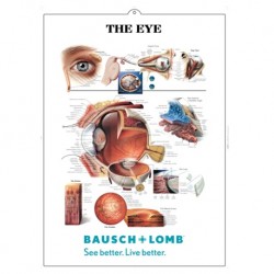 Medical Chart Design, Eye Poster (50x70cm) Laminated