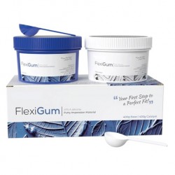 FlexiGum VPS A-Silicone Putty Impression Material, 400gm, Per Pack 