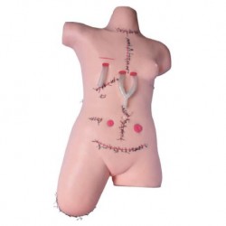 Nursing Education Surgical Suture and Bandaging Model, Per Unit