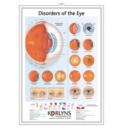 Medical Chart Design, Eyes Poster (50x70cm) Laminated