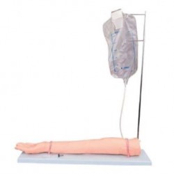 Nursing Education Injectable Training Arm Model with Set, Per Unit