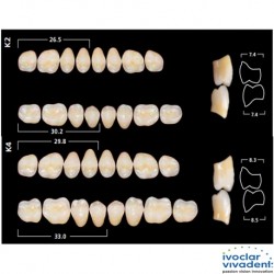 Ivoclar SR Orthosit PE K Mould Posterior teeth For Cross Bite (set of 8)