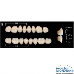 Ivoclar SR Orthotyp PE N3 Mould Posterior teeth For Normal Bite(set of 8)