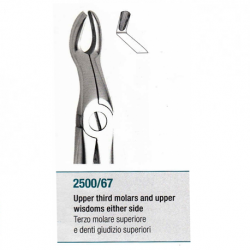 Medesy Extraction forceps Upper Wisdom/Third Molar #2500/67