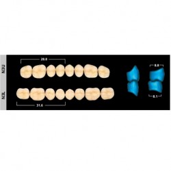 Ivoclar SR Orthosit PE N3 Mould Posterior teeth For Normal Bite(set of 8)