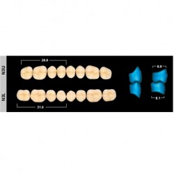 Ivoclar SR Orthosit PE N3 Mould Posterior teeth For Normal Bite(set of 8)