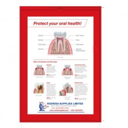 Medical Chart Design, Teeth Poster (50x70cm) Laminated