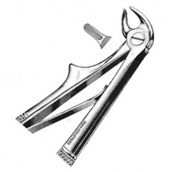 Elite Tooth Extracting Forceps for Children with Spring Lower Roots, Per Unit #ED-050-088