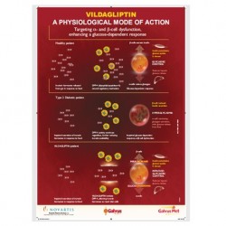 Medical Chart Design, Vildaglliptin Poster (50x70cm) Laminated