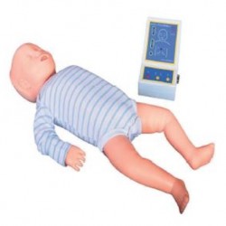 Nursing Education Model, Infant CPR Training Model, Per Unit