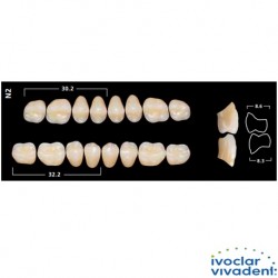 Ivoclar SR Orthotyp PE N2 Mould Posterior teeth For Normal Bite(set of 8)
