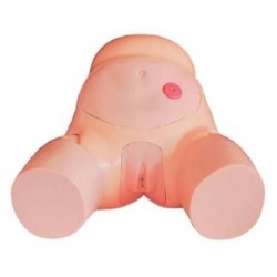 Nursing Education Advanced Female Urethral Catheterization Simulator, Per Unit