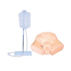 Nursing Education Simple Male Urethral Catheterization Simulator Model, Per Unit