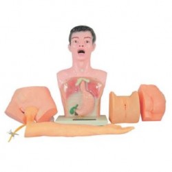 Nursing Education Nurse Basic Practice Teaching Model, Per Unit