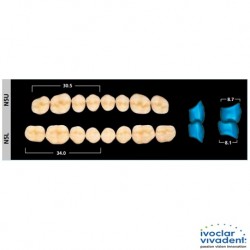 Ivoclar SR Orthosit PE N5 Mould Posterior teeth For Normal Bite (set of 8)