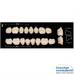 Ivoclar SR Orthotyp PE N4 Mould Posterior teeth For Normal Bite(set of 8)
