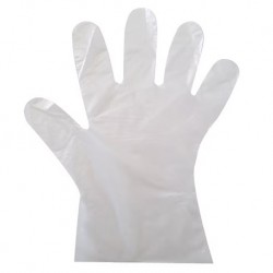 Disposable HDPE Plastic Gloves, Size Large, 100pcs/pack