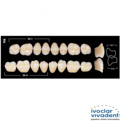 Ivoclar SR Orthotyp PE N6 Mould Posterior teeth For Normal Bite(set of 8)