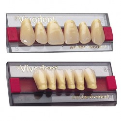 Ivoclar SR Vivodent PE Shade230/1E For Anterior teeth  (set of 6)