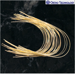 Ortho Technology TruGold 24K Gold Plated Stainless Steel Archwire Rectangle