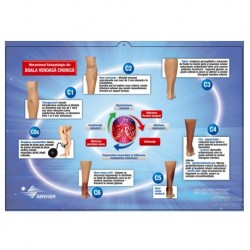 Medical Chart Design, Foot Poster (61.4x42.7cm) Laminated