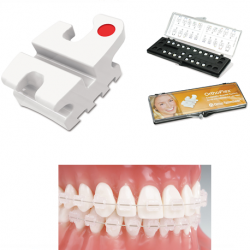 OrthoFlex Roth Composite Brackets system 5X5 SPKS